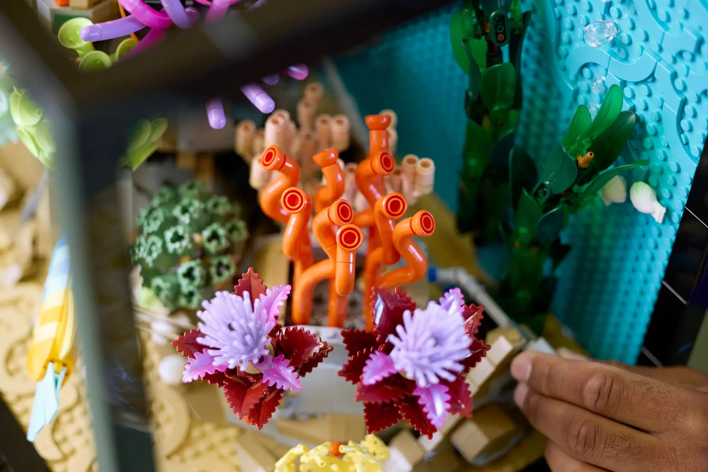 🐠✨ LEGO Tropical Aquarium — Magical Underwater World Build 🎄 XMAS OFFER! 🎁