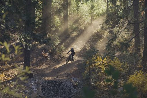 Segway Dirt eBike X260 [Clearance Sale]