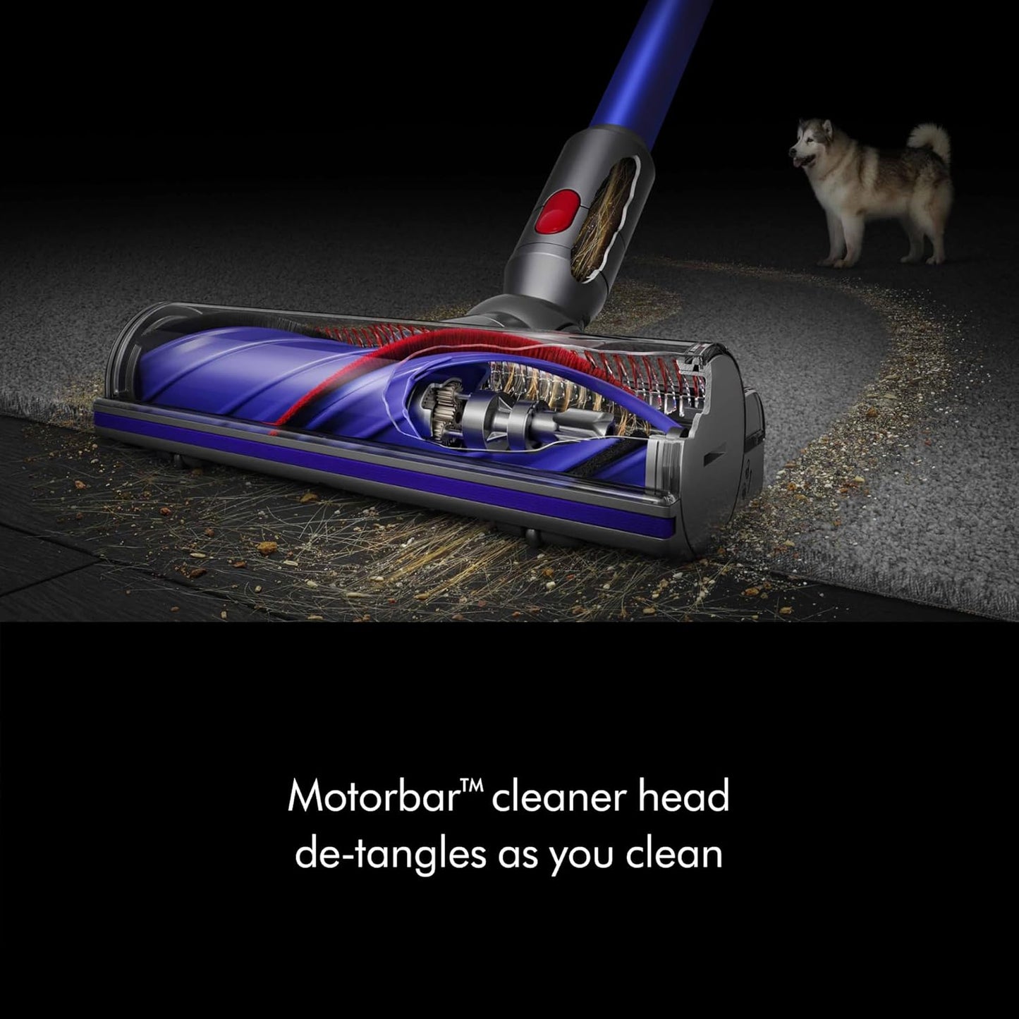 Dyson v11 Vacuum Cleaner